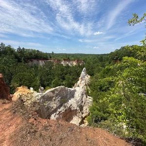 Meet your Posher, Tracey